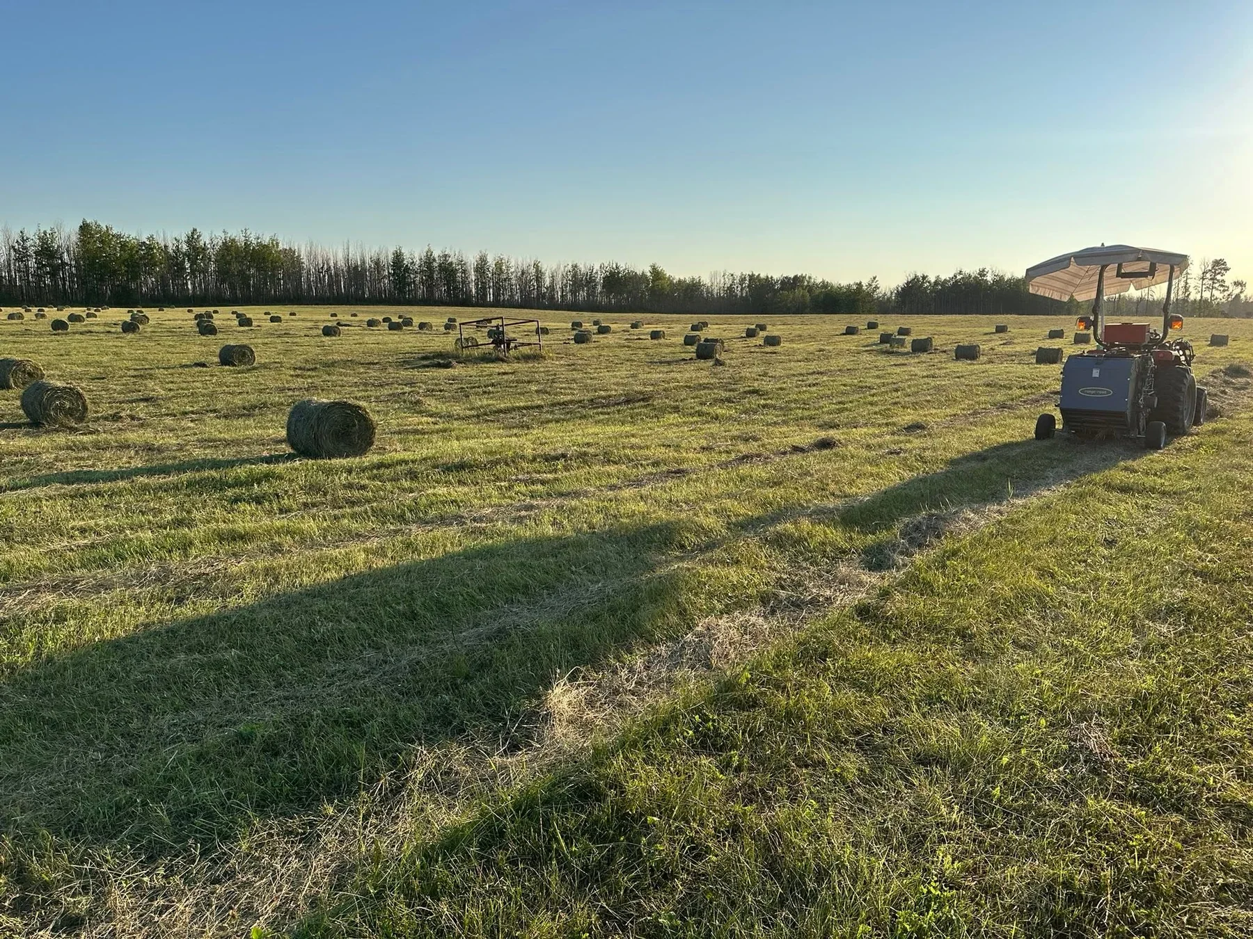 Hay bales in Heavensburg Farm’s open field